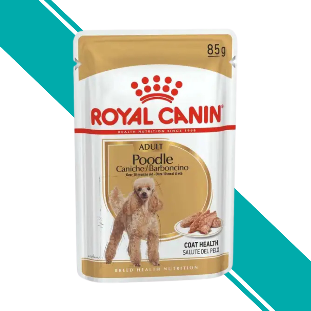 Royal Canin Poodle Coat Health - Wet Dog Food in Loaf 12x85g Pouches